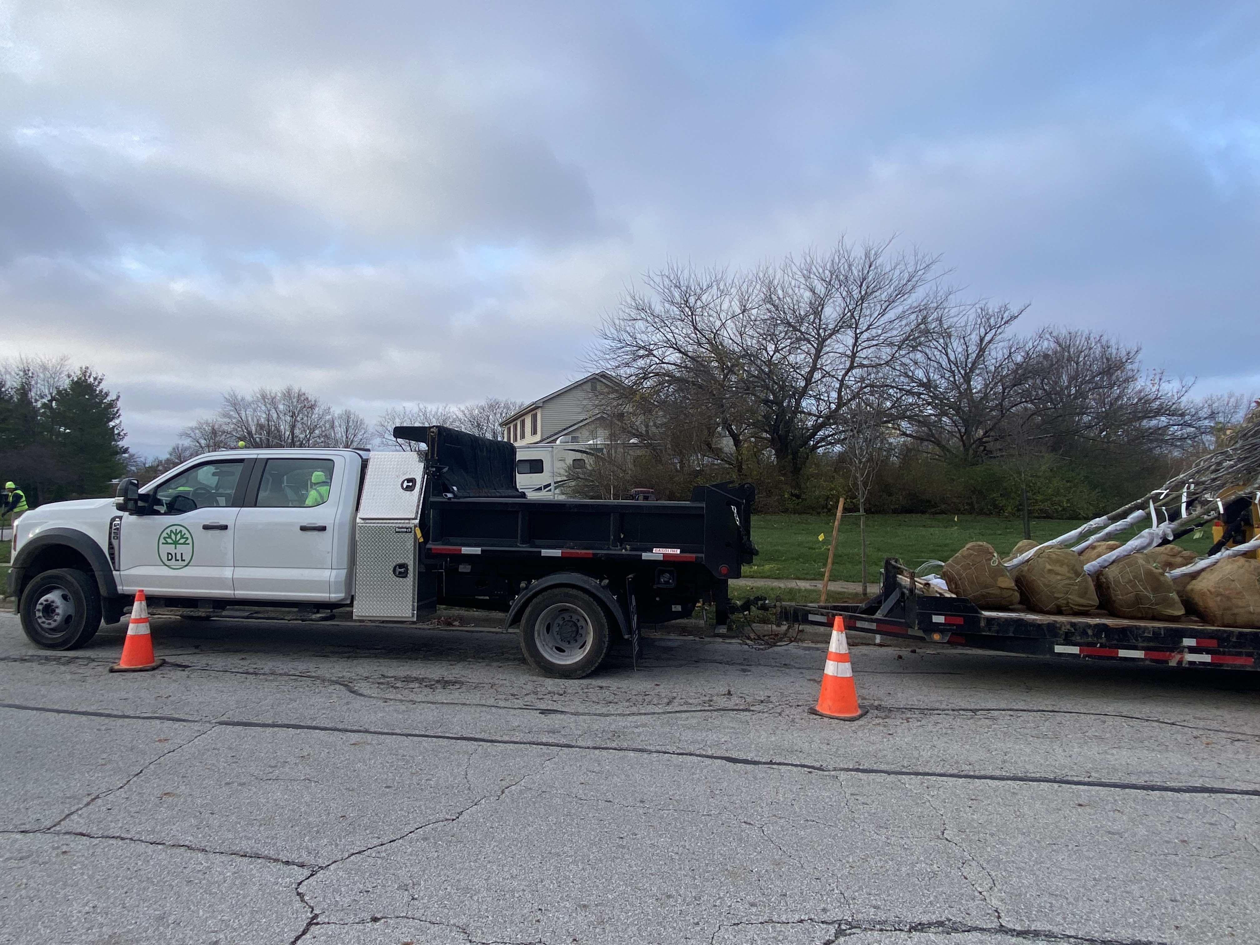 Tree care with clean execution